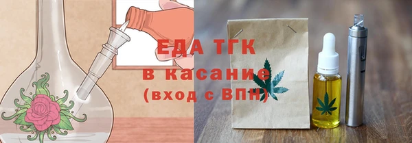 тгк Абаза
