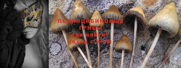 кокс Абинск