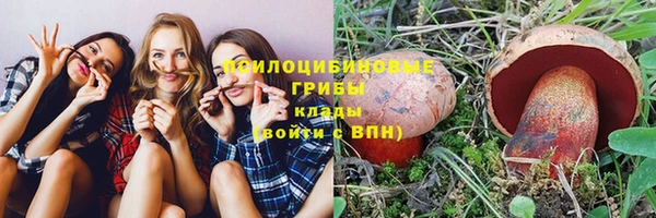 трава Алзамай