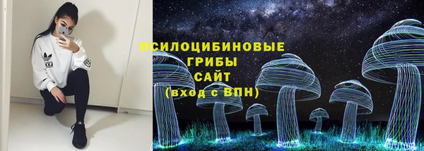 трава Алзамай