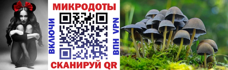 Псилоцибиновые грибы мицелий  Прохладный 