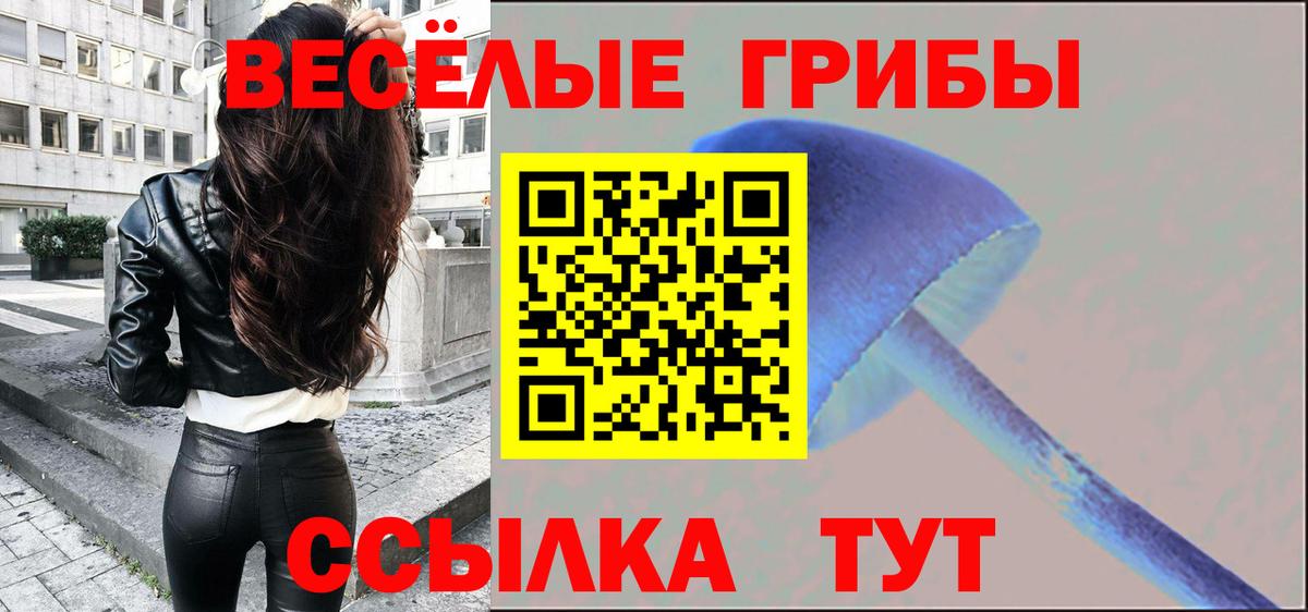 Псилоцибиновые грибы GOLDEN TEACHER  Вход с VPN  Прохладный 